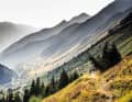 Wilde Natur in den französischen Pyrenäen: Die schönsten Trails bei Lourdes