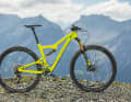 Ibis Ripley LS

  