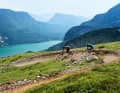The Big Hero near Molveno. Left: Peter Pan in the bike park at Passo Santèl. Even beginners can enjoy success on these two trails.
