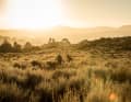South Africa: MTB Trailparks - Spotguide Stellenbosch