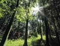 From a purely visual perspective, the Teutoburg Forest is a rather unremarkable low mountain range. But its varied nature trails are the programme: Sweden Trail, Christmas Tree Trail, Fluffy Trail, Red Bank Trail ...