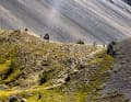 Die spektakuläre Casse Déserte am Col d’Izoard. Der Trail sieht nur einfach aus.