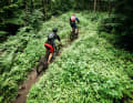 Auf dem Hirsch-Trail lässt’s sich prima ins Tal surfen.