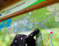 Das erste Stück der Etappe schlängelte sich durch den Nationalpark Eifel. Frisch war's in der Früh noch.