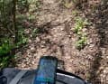 Great forest trails at Altusknipp near Mechernich.