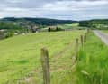 Typical for today: forest, cows, wind turbines and metres uphill.