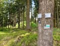 The white cross on a black sign guided me for many kilometres of the fourth stage.