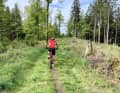 Am Hohen Knochen: Einer der Trails, die ich ohne Andre nicht gefunden hätte.