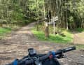 The ramp behind Langewiese took a lot of energy - especially when you can no longer shift into the climbing gear on the 50 sprocket because of a bent derailleur hanger.