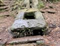 At the Ilse spring: particularly healthy spring water along the way.