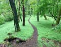 A picture of a trail - in the Dill valley between Dillenburg and Herborn.