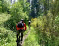 Ritchie und Thorsten auf einem der langen Singletrails den Großen Feldberg hinauf – hmm, ein Genuss. Wenn bergauf, dann am liebsten so.