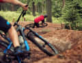 The hand-shaped trails bear the official DIMB flow trail medal.