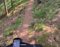 Ein Trail kurz vor einer Blockhütte.