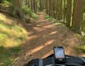 On the Nurtschweg towards Dylen. The tips for the route come from Matthias from MTB-Oberpfalz, who knows the region like no other.