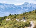 Monte Tamaro in the Swiss canton of Ticino stretches its almost 2000 metre high ridge between Lake Maggiore and Lake Lugano. Its downhill trail has the greatest potential for surprises of all five trails.