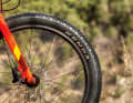 Cannondale Cujo 24 Ltd: With minimal air pressure, the 2.6 inch fat tyres offer an amazing amount of comfort.