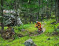 Trail experience in the Aosta Valley