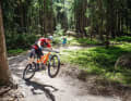Trail bikes should make touring riders equally happy both uphill and downhill. However, for 2700 euros, only three out of nine test bikes put a big smile on the faces of the BIKE testers. Our test at the Lipno trail centre reveals the strengths and weaknesses of this category. (In the photo: Max Schumann