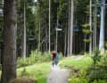 Despite the heavy weights, we pedalled all test bikes up to the trail entrance without lift assistance.