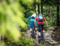 Moderate climbs are no problem. Only when it gets steep do some bikes reach their limits.