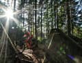Germany, Belgium and the Netherlands meet in Aachen's forests. However, this does not disrupt the flow of the trail.