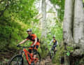 Der Öcher Bösch (Aachener Wald) mit den Feierabend-Trails der Locals wartet direkt hinter der Stadt.