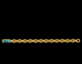 Die goldene Kette der XX1 Eagle.