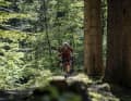 Hasselbach-Graben-Trail, Eifel, West-Ost, Etappe 1