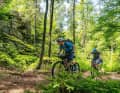 Steinwald-Singletrail, Oberpfälerwald, West-Ost, Etappe 18