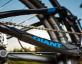 Large-area protection on the chain stay