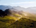 Wide open spaces: South Africa's Cape region awakens longings.