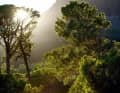 Lions Head and Table Mountain: the trails wind around and right through Cape Town. The after-work tour can then be rounded off with a sundowner in Camps Bay.