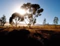 Farm roads and trails alternate in the areas around Robertson.