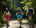 Typical for the Tegernsee: forest path, but very idyllic. But sometimes very steep.