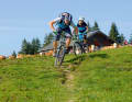 Not only the cow is watching: Downhill run from the Kreuzberg-Alm.
