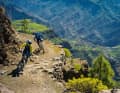 Trans Gran Canaria: A brief shower and the otherwise desert-like volcanic mountains sprout a delicate green fluff.