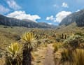 This is what the trails in Colombia look like.