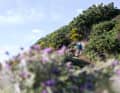 Abfahrt durchs Blumenmeer. Die Pfade sind bröselig trocken und damit immer ein bisschen rutschig.