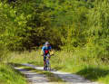 At 92 metres, the Bornstein is the highest rock. Alpine watercress grows on its flanks.