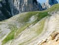 Die Monti Lessini oder auch die "Kleinen Dolomiten", südlich von Rovereto: Bergab sind die Trails am Cima Carega ein Spaß. Bergauf aber ein hartes Stück Arbeit.