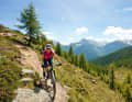 Crunchy trails connect the mountain pastures above the tree line.