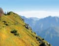 Green mountain flanks with unobstructed views and unblocked trails.