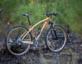Cyclowood has already proven that the mountain bike can also be taken hard with some extreme races.
