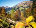 The Karwendel spits us out again behind the Schleims saddle on Lake Achensee.