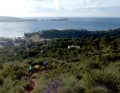 Towards the sea: The trail park in Paguera offers marvellous views.