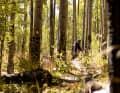 4th USA - Colorado Trail: From Denver to Durango - the 400-kilometre Colorado Trail has cult status. Towel-width and meticulously maintained by trail builders, it leads right across the Rocky Mountains. Thanks to a trail book, the stages are easy to plan. www.coloradotrail.org