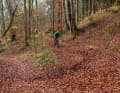 ASSESSING THE CORNER: You should always use the approach to scan the corner. E.g. curve radius, obstacles, curve exit, any berms or edges. For a better view, straighten up on the approach. If there are no obstacles or the course of the bend, the ideal line is: outside, inside, outside.