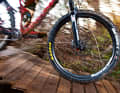 FINGER WEG ... from the brakes. Pick up the necessary speed before the wood ride. After that, you should refrain from doing anything that causes unrest. So: don't pedal, don't brake, don't steer. Be determined! Either all the way or not at all. Stopping in the middle is not an option here.