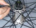 DISASSEMBLE FREEWHEEL

Dismantling the freewheel requires dexterity and should only be carried out by experienced mechanics. Disassembly is quite simple. It is carried out in the same way as the much more difficult reassembly process shown here.

Step 1: Inserting the freewheel bearing

Once you have cleaned the pawls, apply only a little grease to the pawls and teeth. (If you lubricate too generously, too much grease will penetrate the pawl mechanism and the pawls will not engage properly). Apply a little grease to the bearing running surface. This ensures that the bearing balls adhere well and do not roll around the workshop. Insert the balls with tweezers. Tip: Collect the balls from the inner and outer bearings separately. 